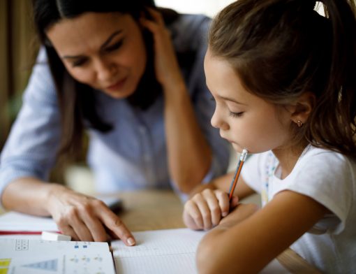 participação da família na vida escolar